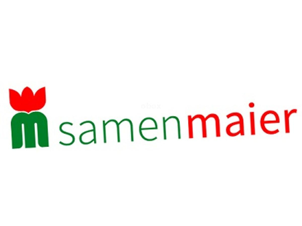 Produktfoto zu Saatgut Prunkbohnen Lady Di