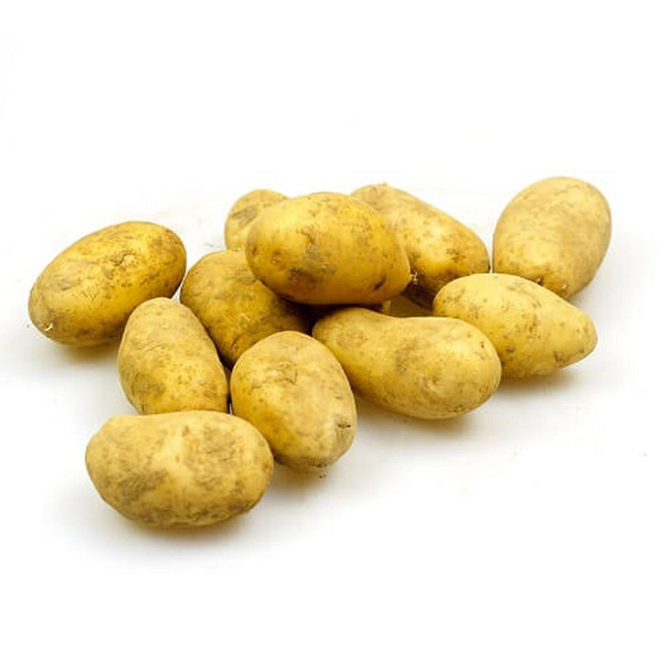 Produktfoto zu Kartoffel festkochend ANUSCHKA 12,5 Kg