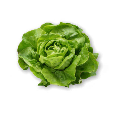 Produktfoto zu Kopfsalat grün