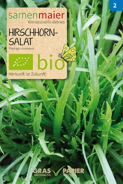 Produktfoto zu Saatgut Hirschhornsalat