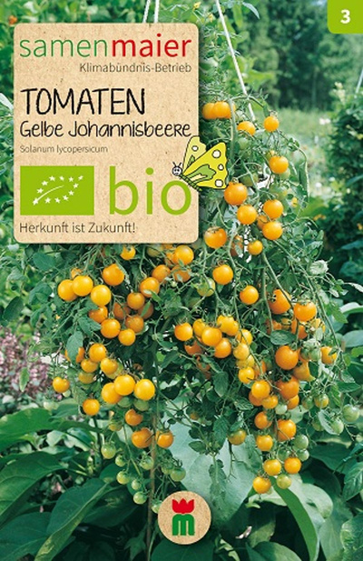 Produktfoto zu Saatgut Tomaten Gelbe Johannisbeere