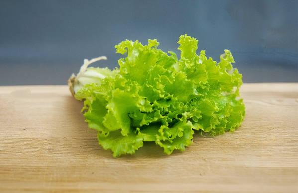 KI generiert: Ein frischer Kopfsalat auf einem Holztisch vor blauem Hintergrund.