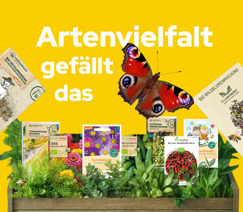 KI generiert: Samenpackungen mit Pflanzen und Schmetterling; Text: "Artenvielfalt gefällt das".