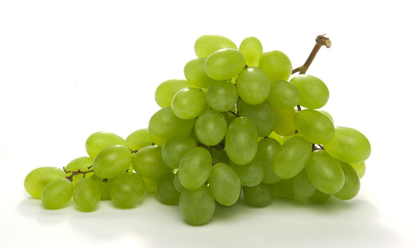 Produktfoto zu Traube weiß Italia