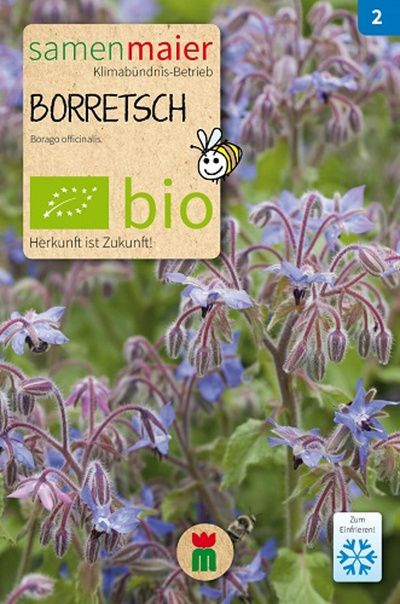 Produktfoto zu Saatgut Borretsch
