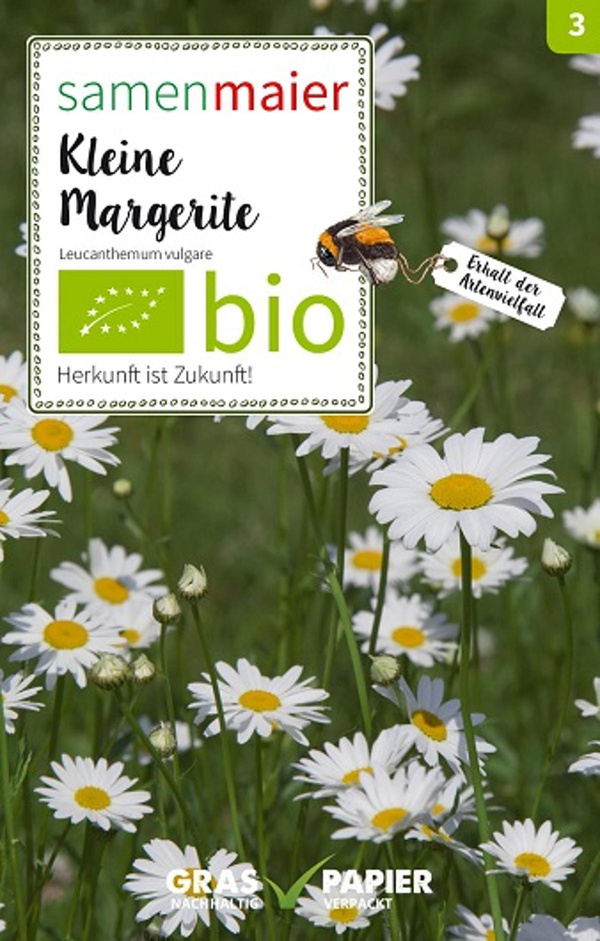 Produktfoto zu Saatgut Kleine Margerite