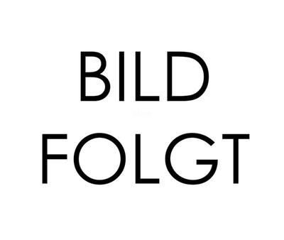 Produktfoto zu Frikadellen gebraten