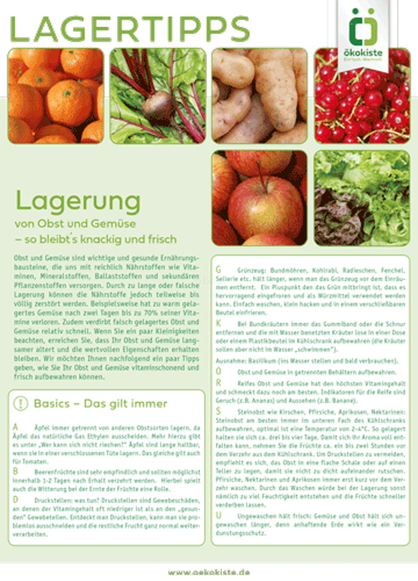 Produktfoto zu Lagertipps & Saisonkalender