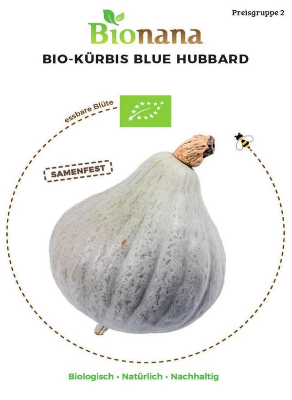 Produktfoto zu Saatgut Kürbis Blue Hubbard