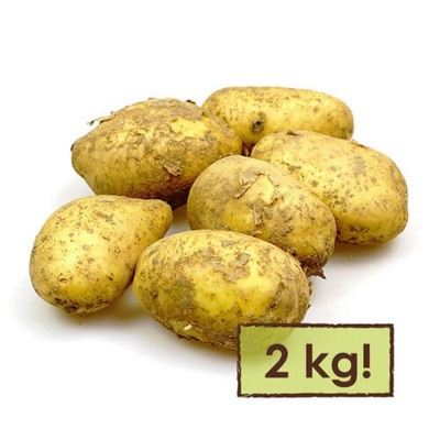 Produktfoto zu Frühkartoffel vorwiegend festkochend 2 kg-Tüte