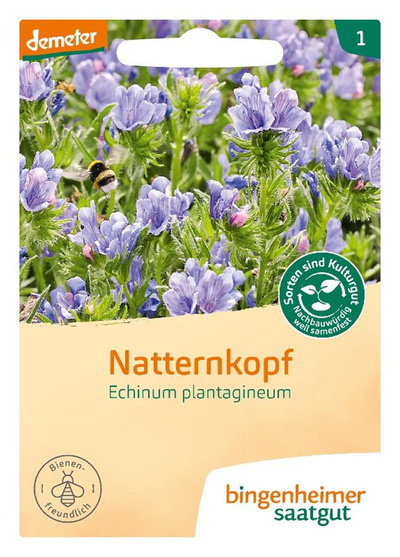 Produktfoto zu Saatgut Natternkopf