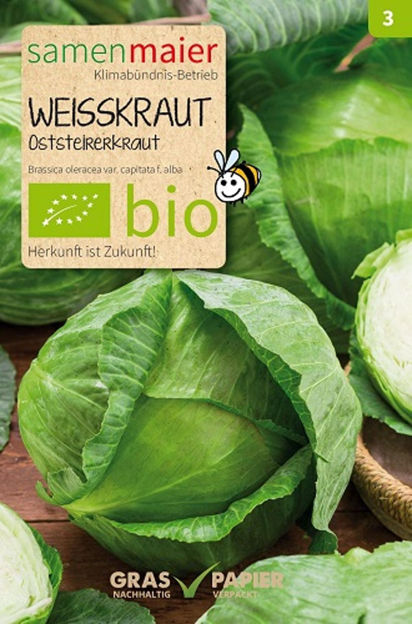 Produktfoto zu Saatgut Weißkraut Oststeirerkraut