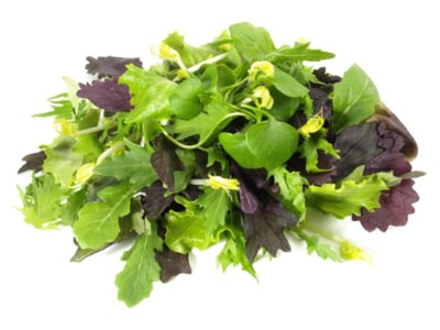 Produktfoto zu Schnittsalat 125 g