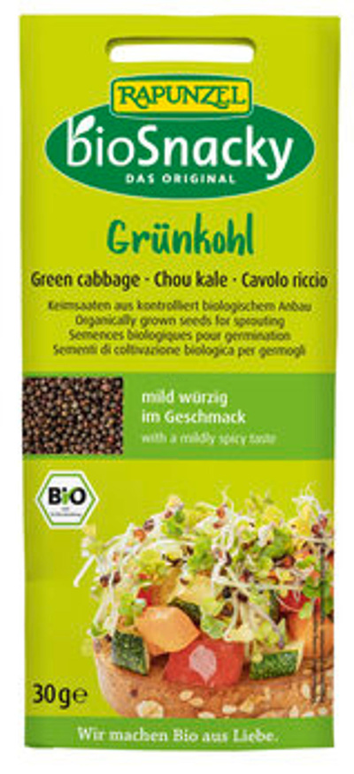 Produktfoto zu Keimsaat Grünkohl