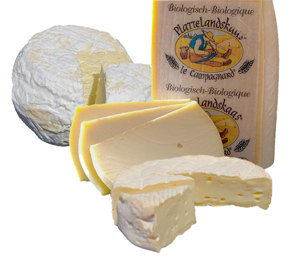 Produktfoto zu Tour de Kas BELGIEN KW 16