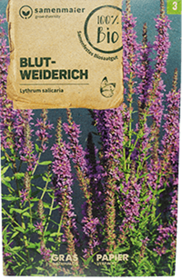 Produktfoto zu Saatgut Blut-Weiderich