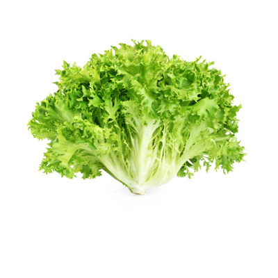 Produktfoto zu Endiviensalat