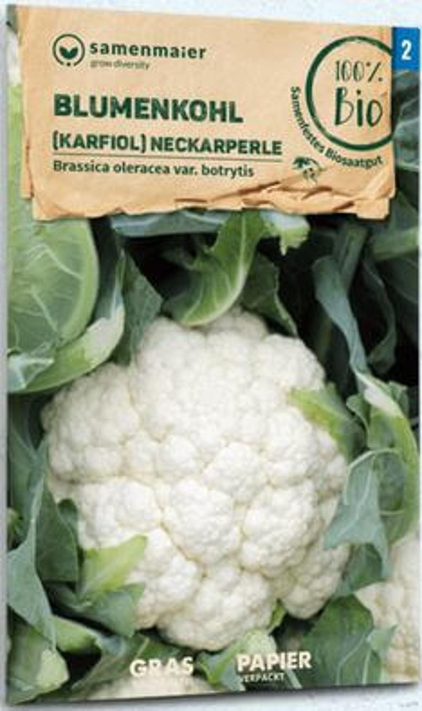Produktfoto zu Saatgut Blumenkohl Karfiol