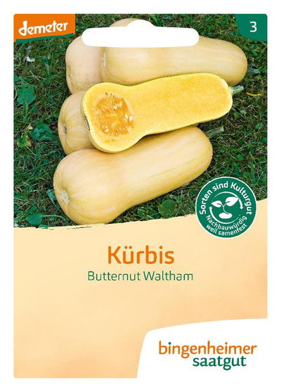 Produktfoto zu Saatgut Butternut Waltham