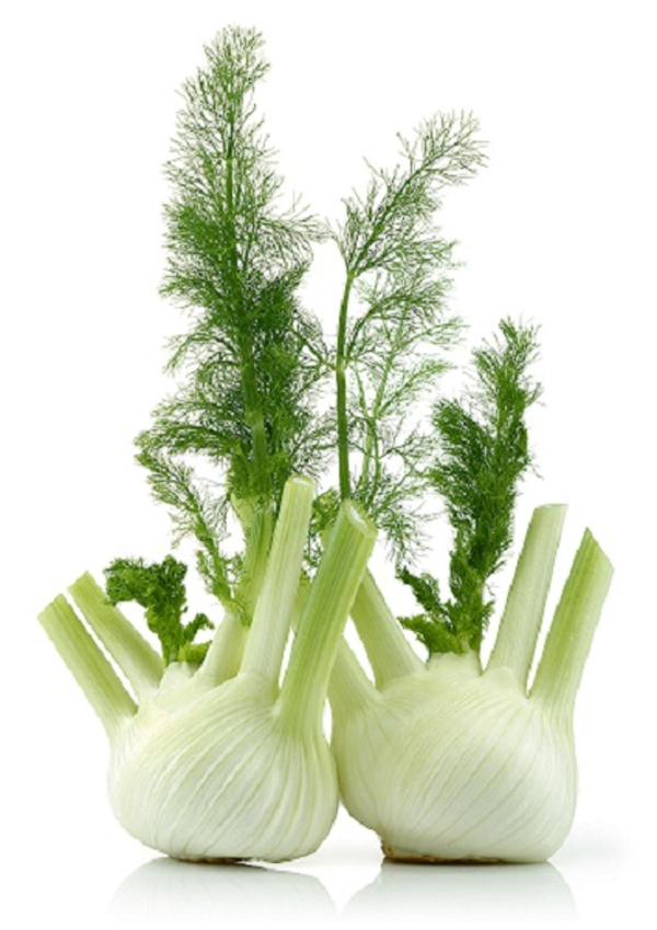 Produktfoto zu Fenchel