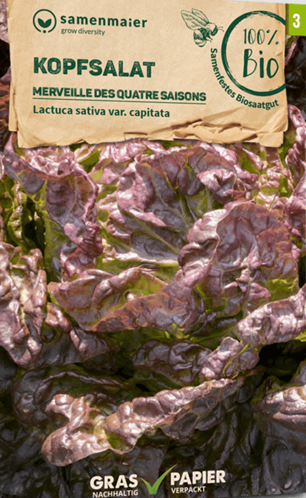 Produktfoto zu Saatgut Kopfsalat Merveille des quatre saison