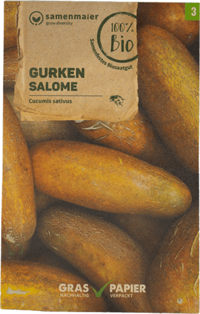 Produktfoto zu Saatgut Gurken Salome