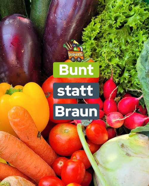 Bunt statt Braun