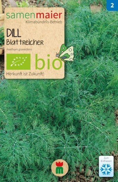 Produktfoto zu Saatgut Dill Blattreicher