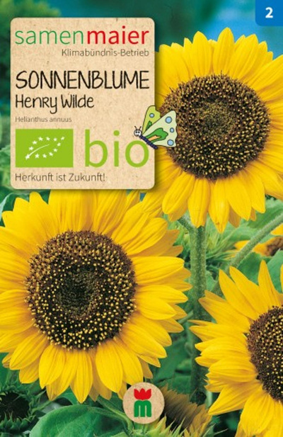 Produktfoto zu Saatgut Sonnenblume Henry Wilde