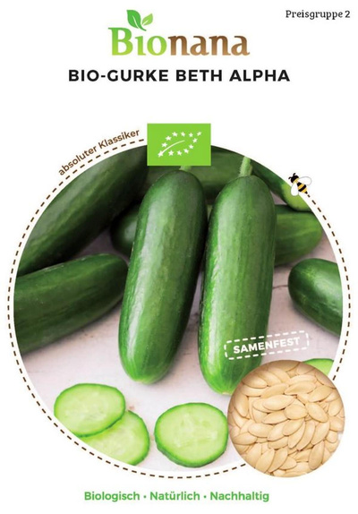 Produktfoto zu Saatgut Gurke Beth Alpha