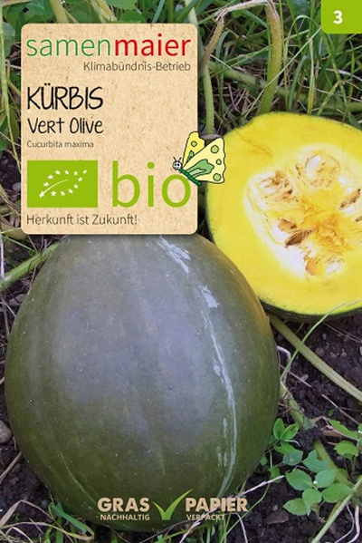 Produktfoto zu Saatgut Kürbis Vert Olive