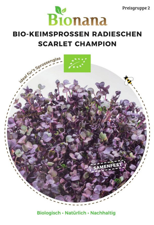 Produktfoto zu Saatgut Keimsprossen Radieschen