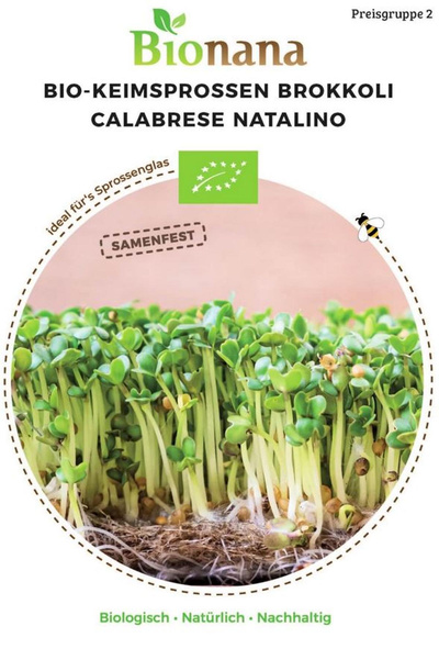 Produktfoto zu Saatgut Keimsprossen Brokkoli