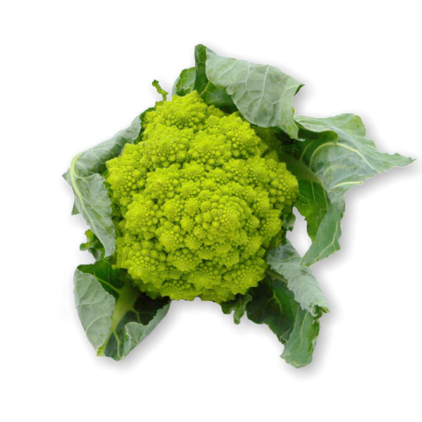 Produktfoto zu Romanesco