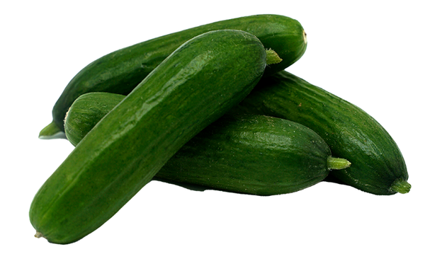 Produktfoto zu Snackgurken - kleine Minigurken