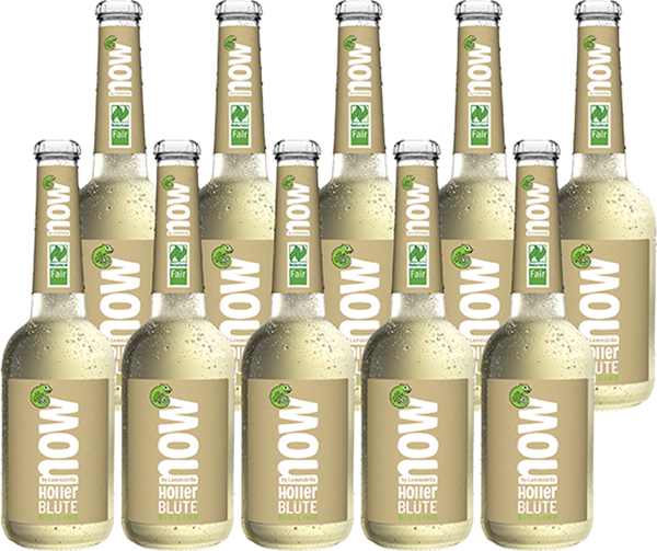 Produktfoto zu Now Holler Blüte Kasten