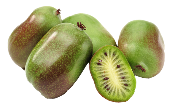 Produktfoto zu Weinkiwi Mini-Kiwi Kiwai 125 g