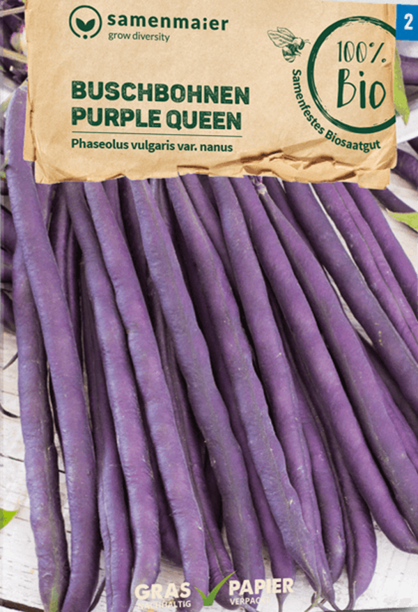 Produktfoto zu Saatgut Buschbohnen Purple Queen