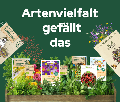KI generiert: Ein Schaukasten mit verschiedenen Bio-Saatgutpackungen. Text: "Artenvielfalt gefällt das".