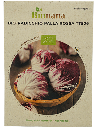 Produktfoto zu Saatgut Radicchio Palla Rossa