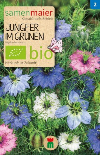 Produktfoto zu Saatgut Jungfer im Grünen