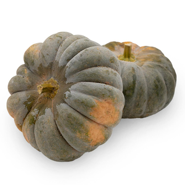 Produktfoto zu Muskat-Kürbis - Muscade de Provence