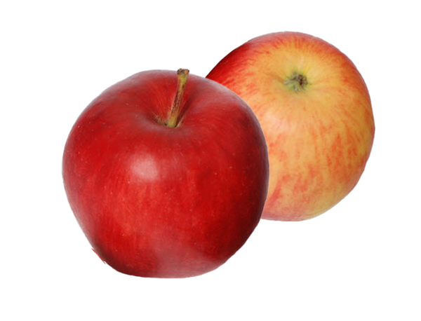 Produktfoto zu Frühapfel Galmac