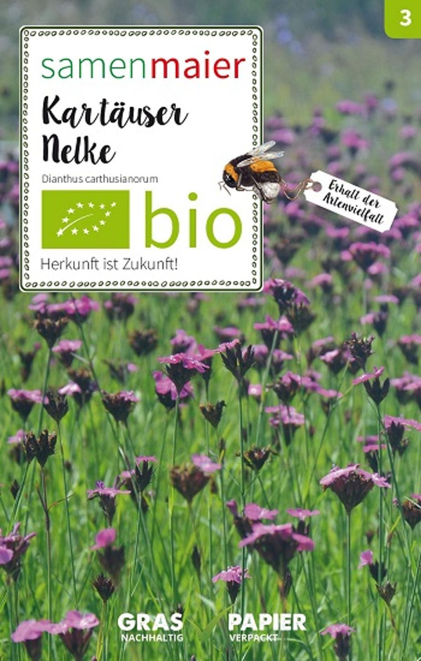Produktfoto zu Saatgut Kartäuser Nelke