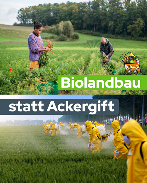 KI generiert: Zwei Szenen: oben Biolandbau, unten Menschen in Schutzanzügen sprühen. Text: "Biolandbau statt Ackergift".