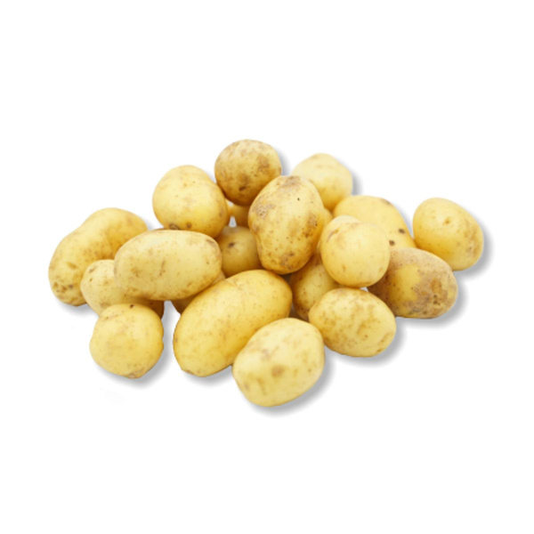 Produktfoto zu Baby-Kartoffel Solist vorwiegend festkochend 1 kg