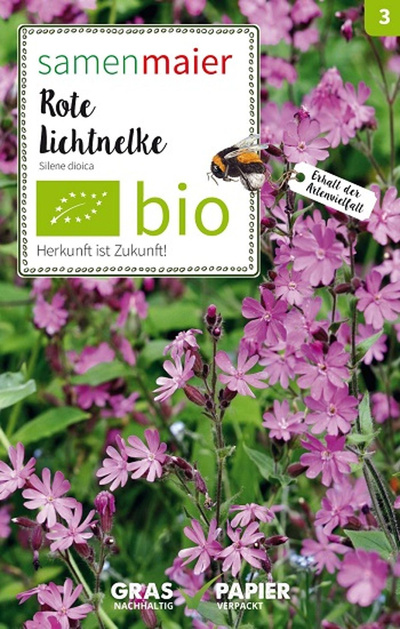 Produktfoto zu Saatgut Rote Lichtnelke