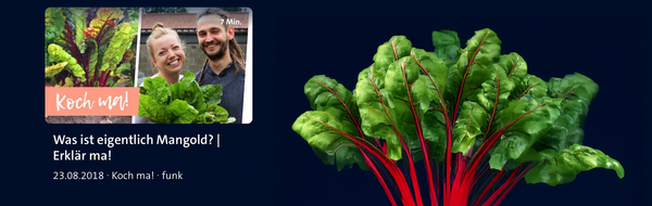 KI generiert: Das Bild zeigt einen Podcast-Player mit der Folge "Noch mehr knackiges Wurzelgemüse" aus der Serie "BIO für die Ohren". Auf der linken Seite sind Wurzeln im Boden zu sehen.