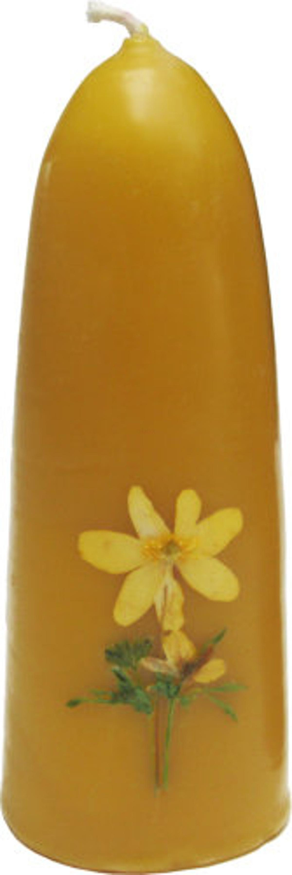 Produktfoto zu Blumenstumpen natur