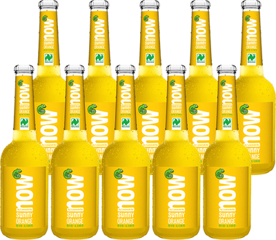 Produktfoto zu Now Sunny Orange 10 x 0,33 l
